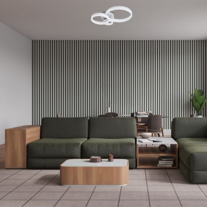 Rabalux - LED taklampa LED/24W/230V 3000/4000/6500K 38x51 cm matt krom