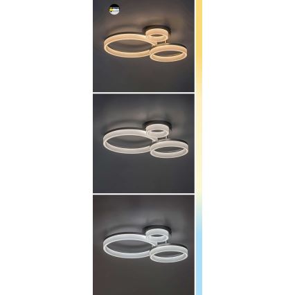 Rabalux - LED taklampa LED/24W/230V 3000/4000/6500K guld 38x51 cm