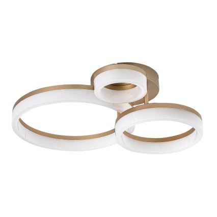 Rabalux - LED taklampa LED/24W/230V 3000/4000/6500K guld 38x51 cm