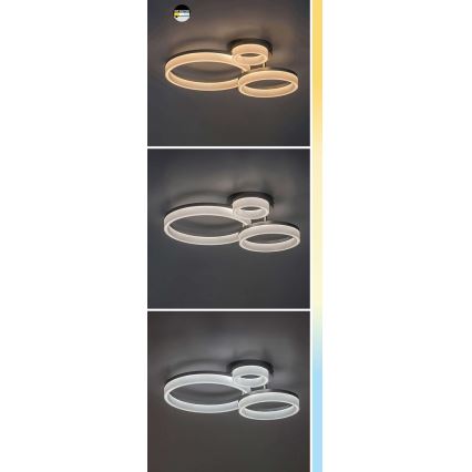 Rabalux - LED taklampa LED/24W/230V 3000/4000/6500K svart 38x51 cm