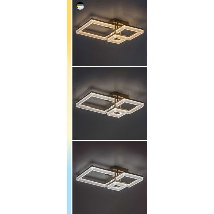 Rabalux - LED taklampa LED/22W/230V 3000/4000/6500K svart 47x47 cm
