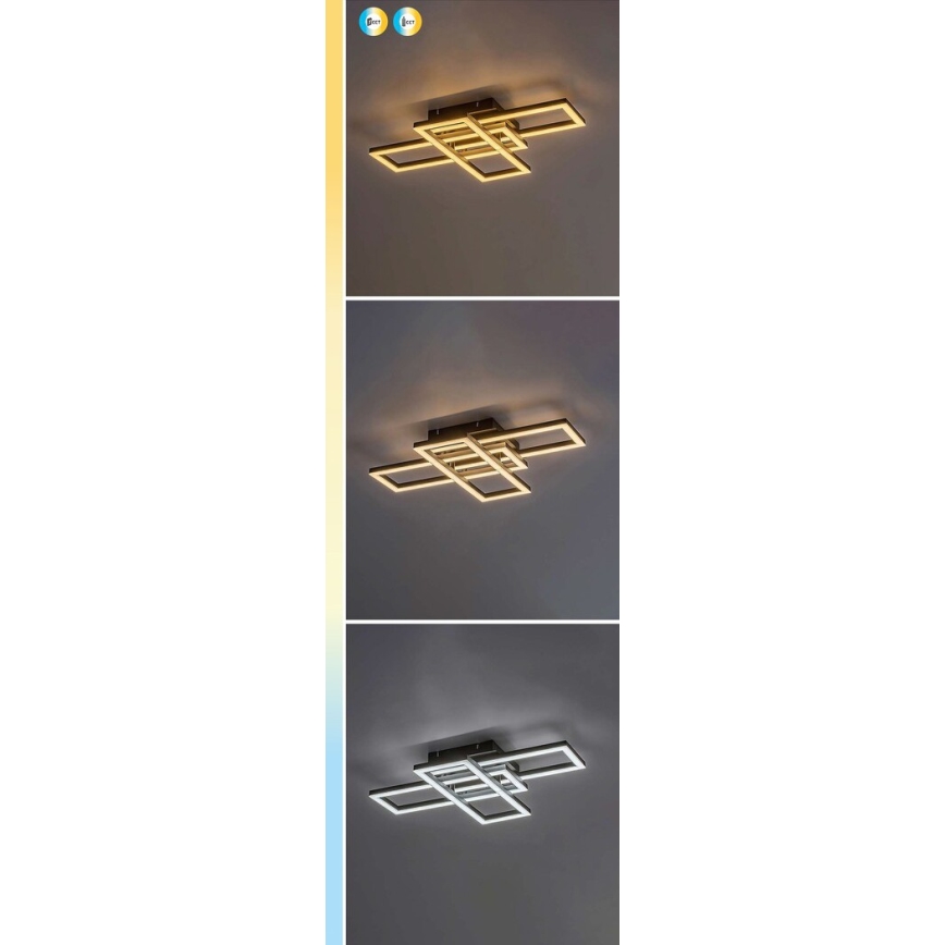 Rabalux - Dimbart LED-takarmatur LED/40W/230V 3000–6500K + fjärrkontroll 35x50 cm