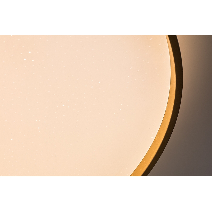 Rabalux - LED dimbar taklampa LED/80W/230V 3000-6500K Ø 77 cm + fjärrkontroll