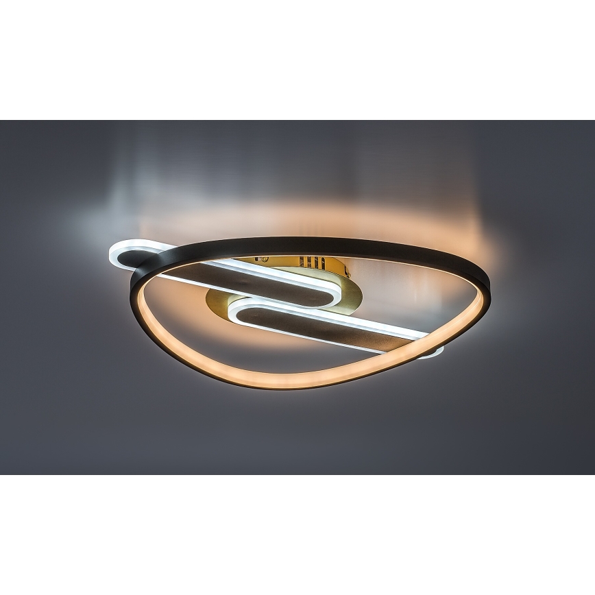 Rabalux - dimbar LED-taklampa LED/60W/230V 3000-6000K 53x45 cm + fjärrkontroll
