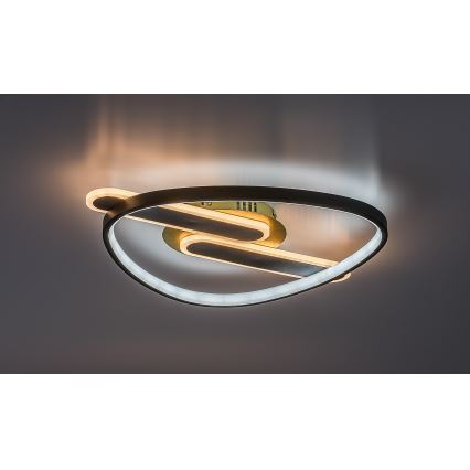 Rabalux - dimbar LED-taklampa LED/60W/230V 3000-6000K 53x45 cm + fjärrkontroll