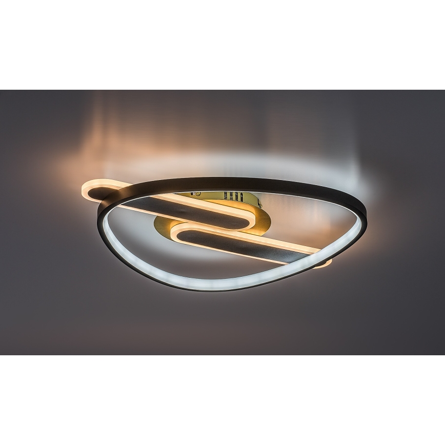 Rabalux - dimbar LED-taklampa LED/60W/230V 3000-6000K 53x45 cm + fjärrkontroll