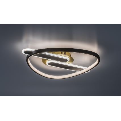 Rabalux - dimbar LED-taklampa LED/60W/230V 3000-6000K 53x45 cm + fjärrkontroll
