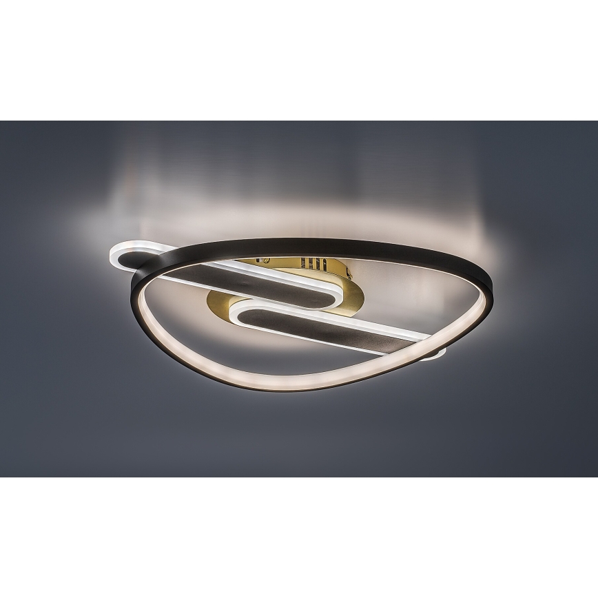 Rabalux - dimbar LED-taklampa LED/60W/230V 3000-6000K 53x45 cm + fjärrkontroll