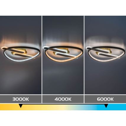 Rabalux - dimbar LED-taklampa LED/60W/230V 3000-6000K 53x45 cm + fjärrkontroll