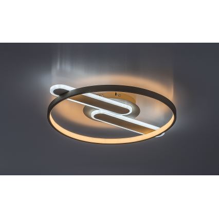Rabalux - LED Dimmbar taklampa LED/55W/230V 3000-6000K 53x45 cm + fjärrkontroll