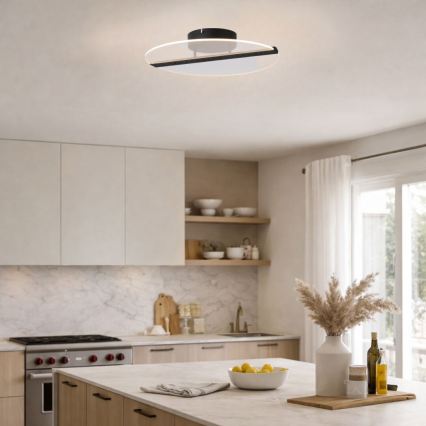 Rabalux - LED taklampa LED/20W/230V 3000 K Ø 41 cm svart/klar