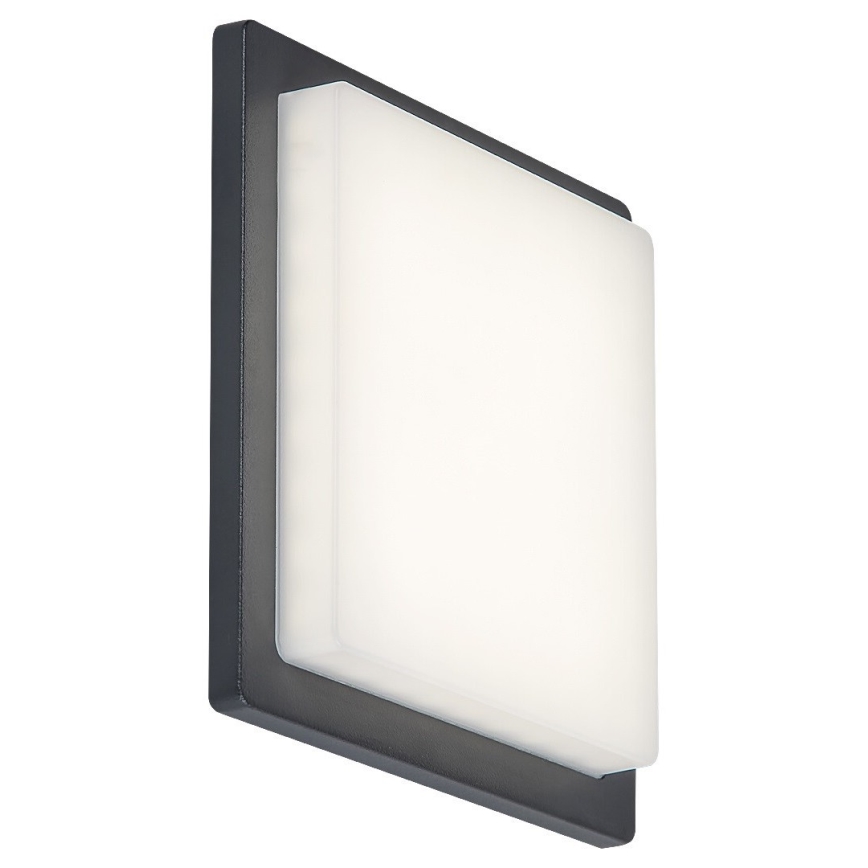 Rabalux - LED Utomhus vägglampa  LED/8W/230V IP65