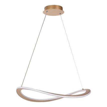 Rabalux - LED-pendel på kabel LED/40W/230V 3000K