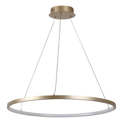 Rabalux - LED-pendel på vajer LED/55W/230V 3000K