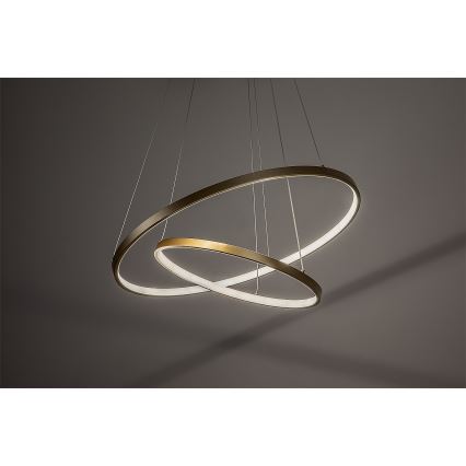 Rabalux - LED-dimbar pendellampa på vajer LED/75W/230V 3000–6500K + fjärrkontroll