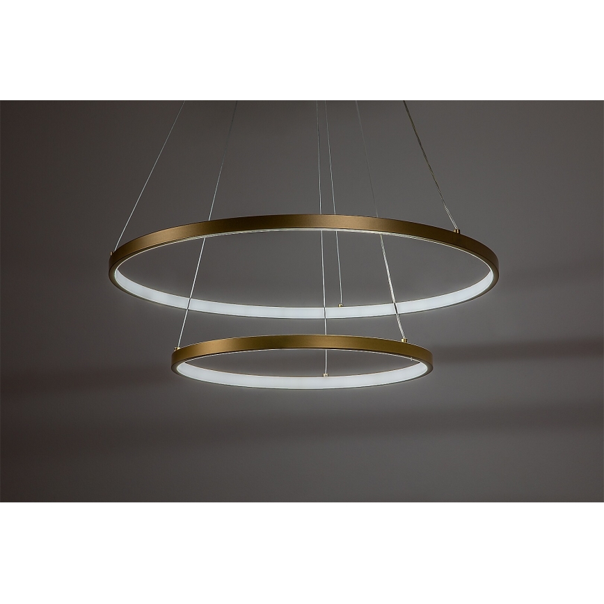 Rabalux - LED-dimbar pendellampa på vajer LED/75W/230V 3000–6500K + fjärrkontroll