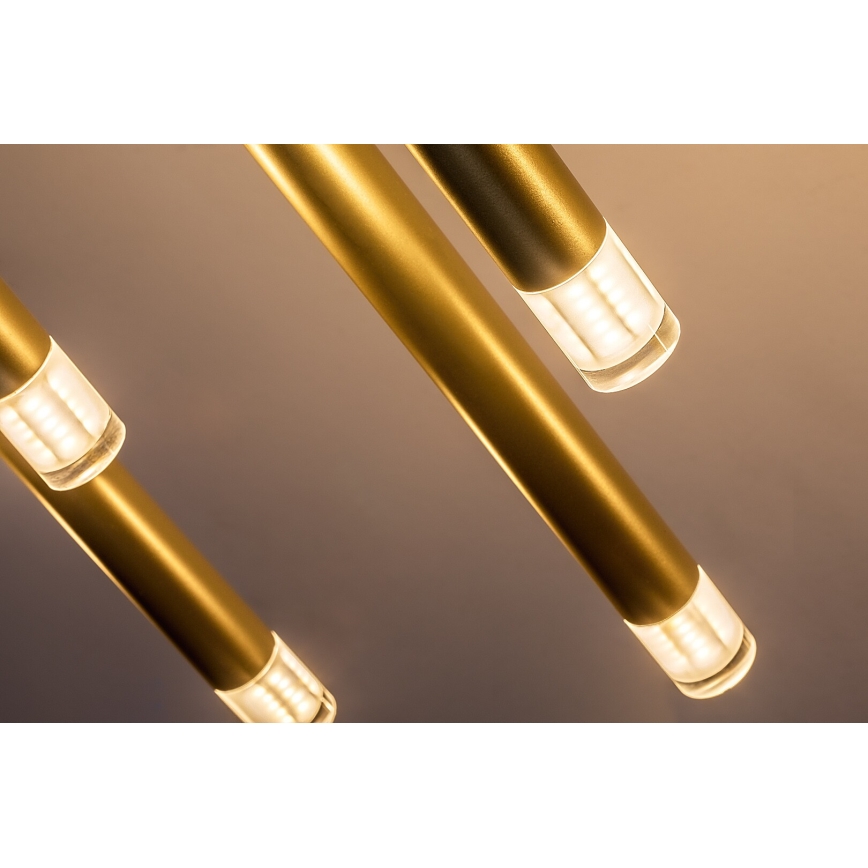 Rabalux - Ljuskrona med textilsladd 10xG9/5W/230V guld