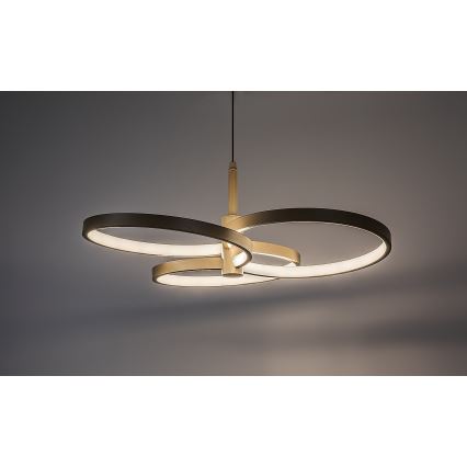 Rabalux - dimbar LED-pendel med kabel LED/50W/230V 3000-6500K + fjärrkontroll
