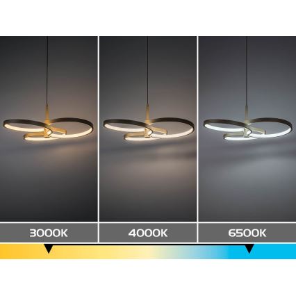 Rabalux - dimbar LED-pendel med kabel LED/50W/230V 3000-6500K + fjärrkontroll