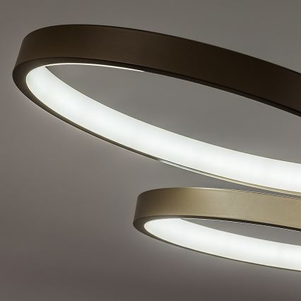 Rabalux - dimbar LED-pendel med kabel LED/50W/230V 3000-6500K + fjärrkontroll