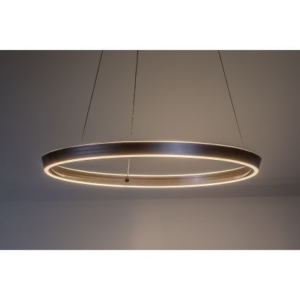 Rabalux - Dimbara LED-pendel på vajer LED/70W/230V 3000-6500K + fjärrkontroll