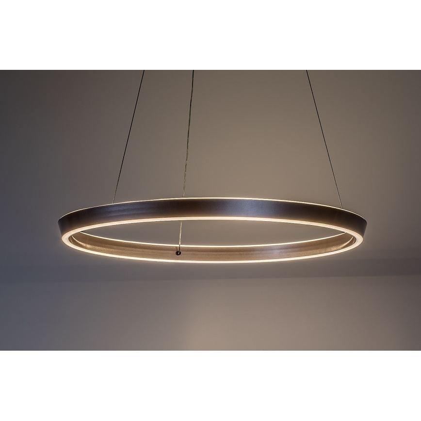 Rabalux - Dimbara LED-pendel på vajer LED/70W/230V 3000-6500K + fjärrkontroll