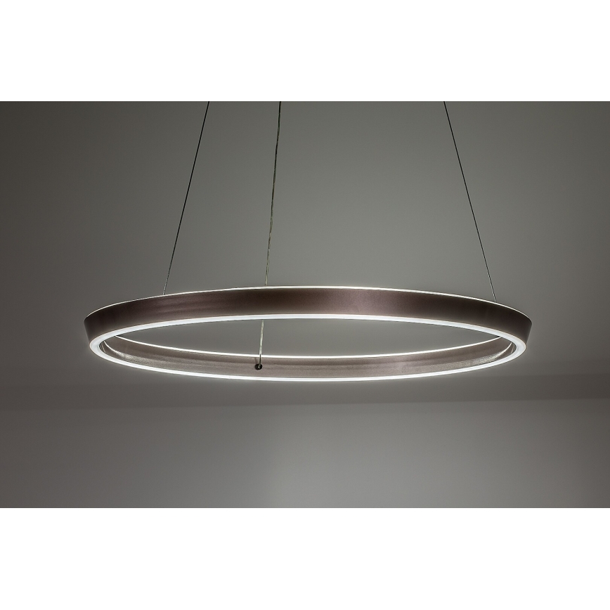 Rabalux - Dimbara LED-pendel på vajer LED/70W/230V 3000-6500K + fjärrkontroll