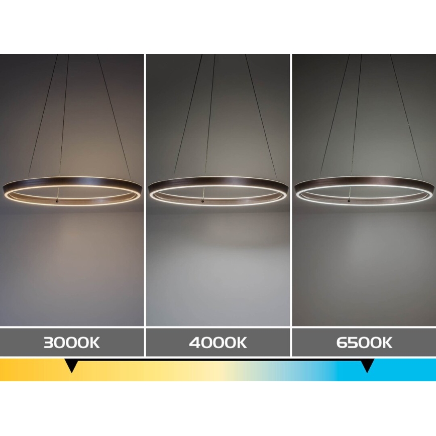 Rabalux - Dimbara LED-pendel på vajer LED/70W/230V 3000-6500K + fjärrkontroll