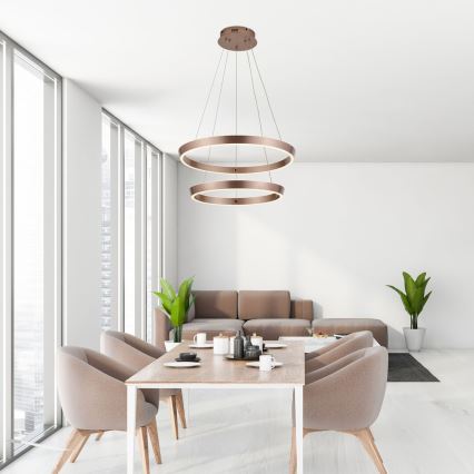 Rabalux - LED dimbar taklampa på vajer LED/45W/230V 3000-6500K + fjärrkontroll