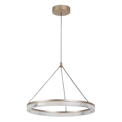 Rabalux - LED-dimbbar pendellampa på kabel LED/24W/230V 3000-6500K + fjärrkontroll