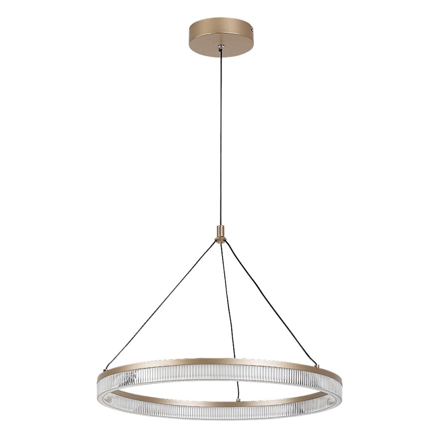 Rabalux - LED-dimbbar pendellampa på kabel LED/24W/230V 3000-6500K + fjärrkontroll