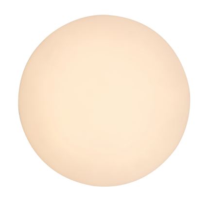 Rabalux - LED-takarmatur för badrum 24W/230V, IP54, Ø 28 cm