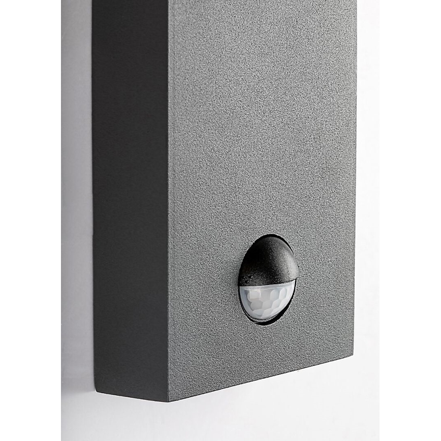 Rabalux - Utomhus vägglampa med rörelsesensor 1xE27/40W/230V IP44