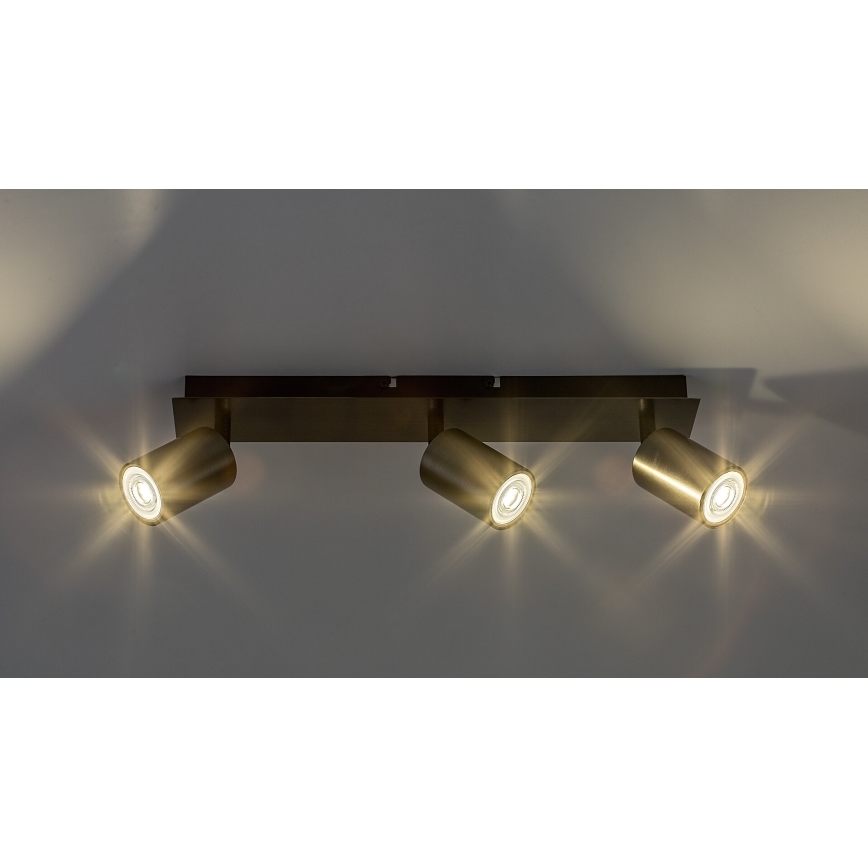 Rabalux - Spotlight 3xGU10/15W/230V