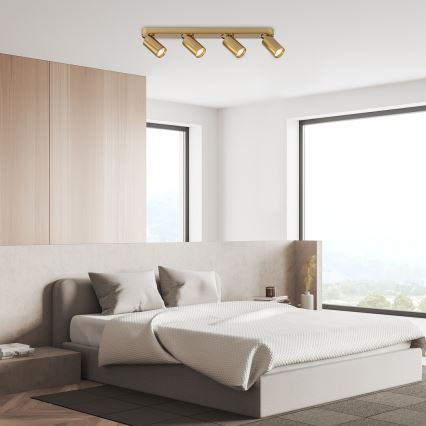 Rabalux - Spotlight 4xGU10/5W/230V guld