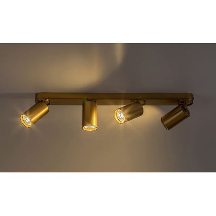 Rabalux - Spotlight 4xGU10/5W/230V guld