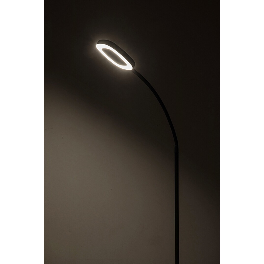 Rabalux - LED Dimbar Touch Golvlampa LED/11W/230V 3000K