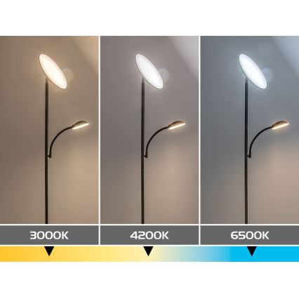 Rabalux - LED Dimbar golvlampa LED/23W/230V 3000/4200/6500 svart