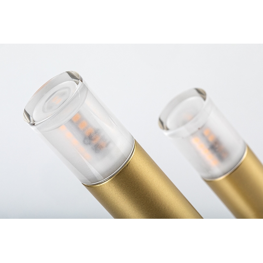 Rabalux - Bordslampa 3xG9/5W/230V guld