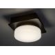 Rabalux - LED taklampa för badrum LED/5W/230V IP44 4000K svart