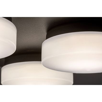 Rabalux - LED Taklampa för badrum 4xLED/5,2W/230V IP44 svart