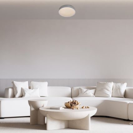 Rabalux - LED Taklampa LED/18W/230V IP44 4000K silver Ø 28 cm