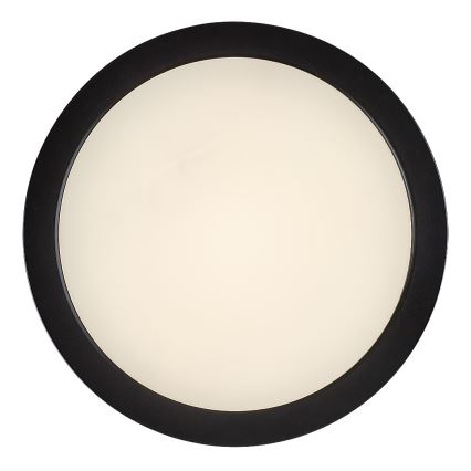 Rabalux - LED-taklampa för badrum, 24W/230V, Ø 22 cm, IP44, svart