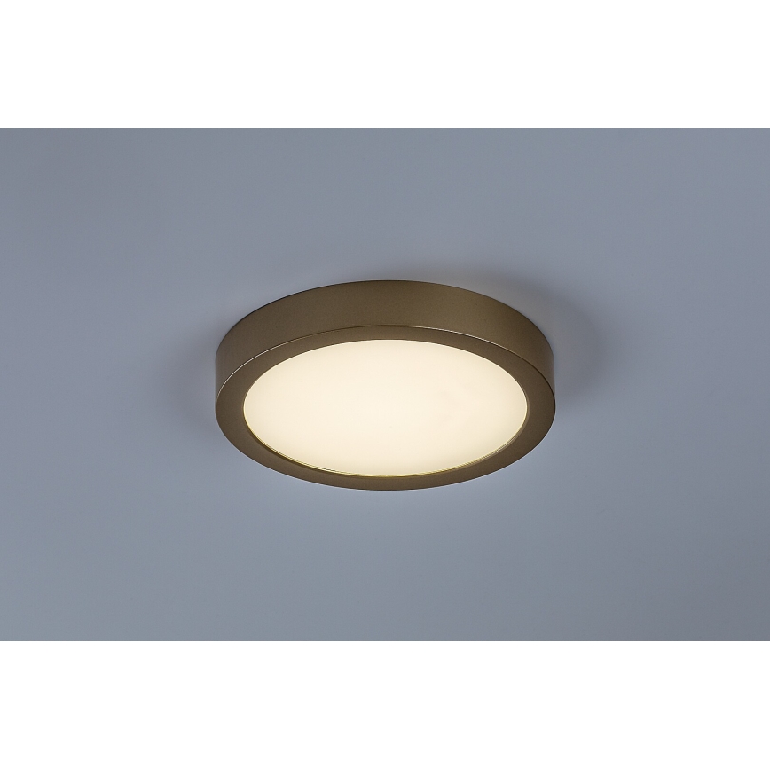 Rabalux - LED taklampa för badrum LED/24W/230V Ø 22 cm IP44 guld