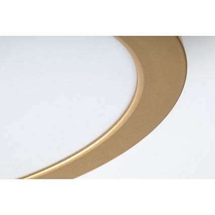 Rabalux - LED taklampa för badrum LED/24W/230V Ø 22 cm IP44 guld