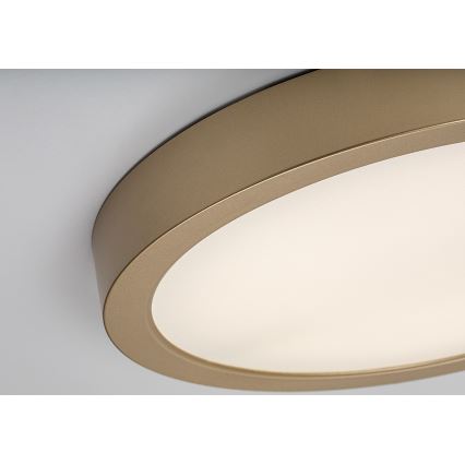 Rabalux - LED badrumstaklampa LED/30W/230V Ø 30 cm IP44 guld