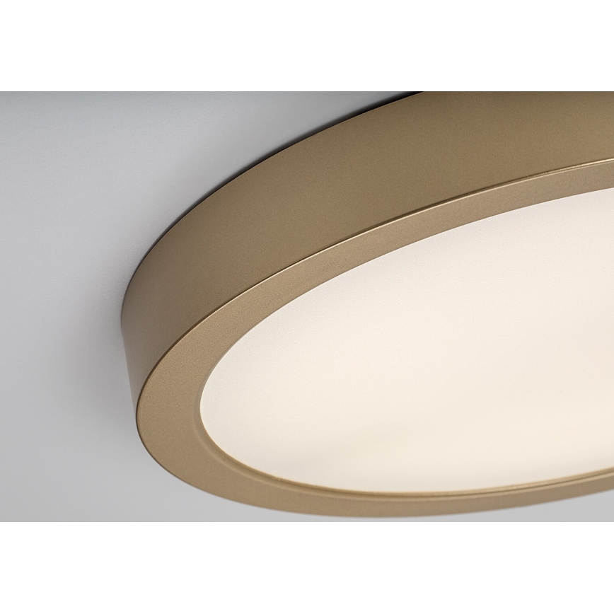 Rabalux - LED badrumstaklampa LED/30W/230V Ø 30 cm IP44 guld