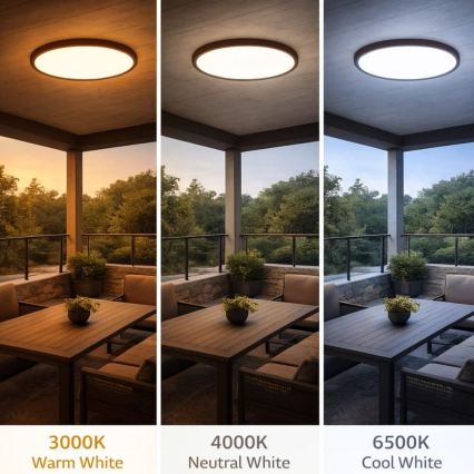 Rabalux - LED-taklampa för badrum LED/24W/230V 3000/4000/6000K Ø 40 cm IP44 brun
