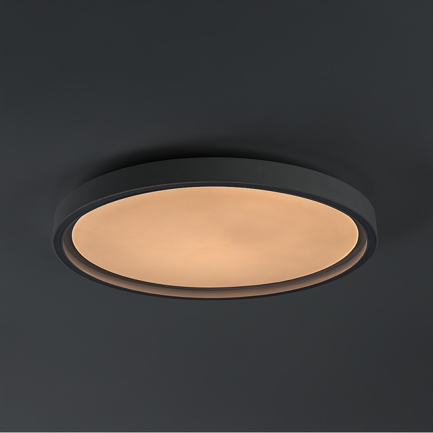 Rabalux - Dimbart LED-taklampa LED/31W/230V IP40 3000-6500K Ø41,5 cm + fjärrkontroll