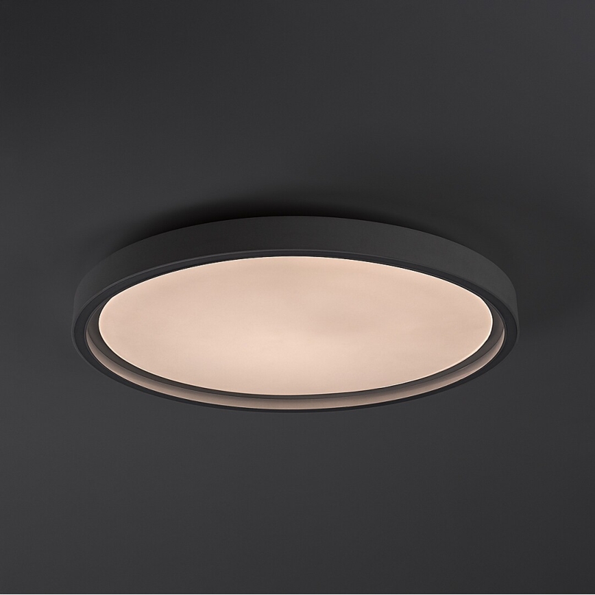 Rabalux - Dimbart LED-taklampa LED/31W/230V IP40 3000-6500K Ø41,5 cm + fjärrkontroll